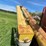 new-holland-355-image-11