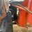 2021-kubota-r540-image-11