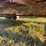 h&s-silage-box-on-knowles-tandem-running-gear-image-9