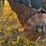 mandako-model-t4030-vertical-tillage-image-65