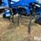 landoll-2110-13-image-19