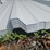 (50)-12'-roof-panels-image-4