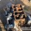 misc-vehicle-and-engine,-lights-parts-image-4