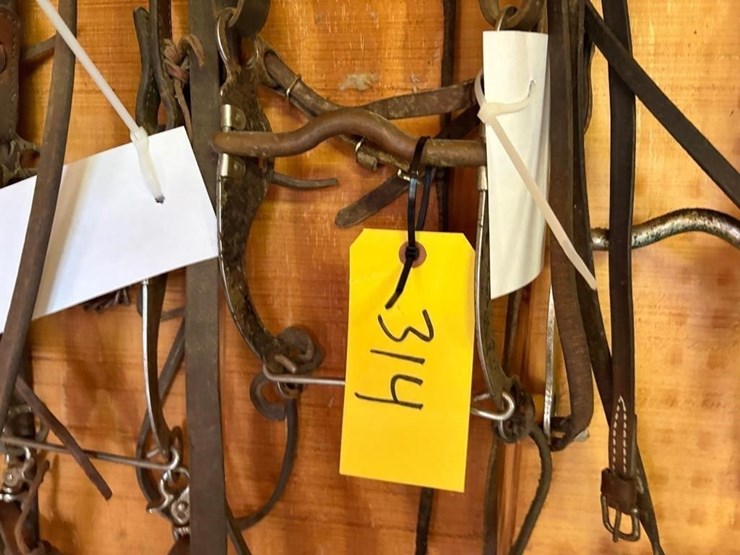 (4)-western-style-bridles-image-3