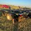 mandako-model-t4030-vertical-tillage-image-30