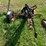 sickle-mower-image-5