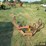 #29223-•-1-row-cultivator-image-2