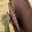 #21146-•-dual-drum-sheeps-foot-image-54