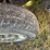 2016-ford-f250-image-6
