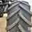 2012-raven-viper-image-62