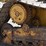 2020-caterpillar-d6n-lgp-image-84