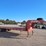 2015-red-rhino-gooseneck-trailer-30'-image-3