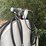 2,000-gallon-fuel-tank-image-4