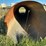 culvert-image-2
