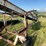 25’-lift-conveyor,-has-220-elec-and-hyd-drive-image-9