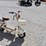electric-scooter-with-front-basket-and-rear-seat-image-10