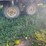 tandem-axle-hay-wagon-as-is-image-5