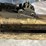 #4075-•-escort-field-hunter,-sn:-70-h24pt-004326-image-8