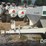 willmar-600-image-4