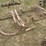 (2)-menomonie-oscillating-bobsleds-image-1