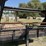 #201-•-2015-texas-bragg-25'-utility-gooseneck-trailer-image-5