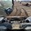 2021-bobcat-t770-image-22