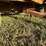 papec-tandem-axle-silage-wagon-image-8