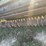 7'-vestal-cultipacker-seeder-image-9