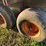 h&s-silage-box-on-knowles-tandem-running-gear-image-16