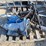 #8186-•-pallet-of-parts-for-jeep-image-1
