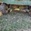 badger-tandem-axle-silage-wagon-image-16