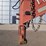 2015-red-rhino-gooseneck-trailer-30'-image-20