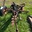 sickle-mower-image-6