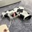 #4006-•-ruger-lcp-max-cow-print,-sn:-381507132-image-3