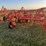 54’-bourgault-chisel,-12”-space,-heavy-harrows,-note:-hitch-slightly-bent-in-one-spot,-doesn’t-affect-performance-of-machine-as-hitch-is-floating.-image-3