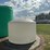 1500-gallon-poly-tank-image-3