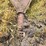 #21146-•-dual-drum-sheeps-foot-image-36