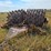#21146-•-dual-drum-sheeps-foot-image-1