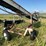 25’-lift-conveyor,-has-220-elec-and-hyd-drive-image-8