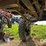 2005-case-ih-spx4410-image-20