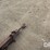 anhydrous-nurse-tank-(dr12328)-image-20