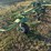 krone-5.52/4x7t-4-basket-tedder-image-16