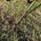 18ft-john-deere-tandem-axle-wagon-image-4