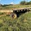 tandem-axle-hay-wagon-as-is-image-6