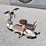 electric-scooter-with-front-basket-and-rear-seat-image-3