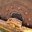 #21146-•-dual-drum-sheeps-foot-image-55