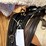 amish-style-horse-buggy-harness-image-4