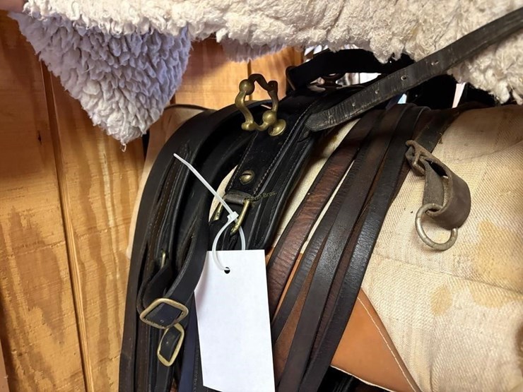 amish-style-horse-buggy-harness-image-4