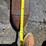 #21021-•-electric-pallet-jack-image-20