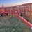 54’-bourgault-chisel,-12”-space,-heavy-harrows,-note:-hitch-slightly-bent-in-one-spot,-doesn’t-affect-performance-of-machine-as-hitch-is-floating.-image-2